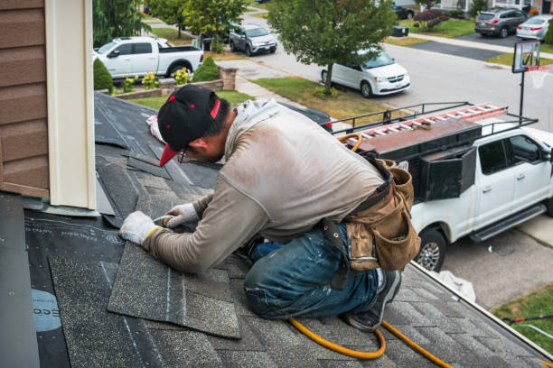 Professional Storm Damage Roof Repair technician working in Guild, NH